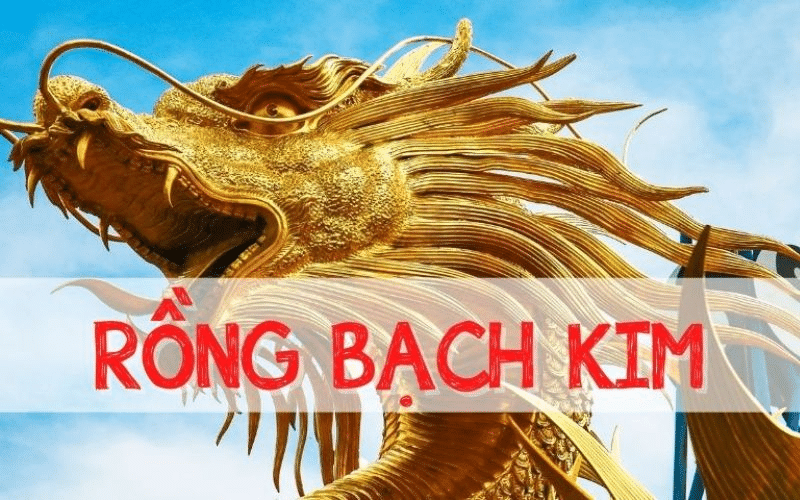 Các bước thực hiện soi cầu Rồng Bạch Kim 666